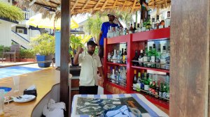 ГОА-24г. Отель "Santana Beach Resort". В океане шторм, решили поплавать в бассейне. Бар в бассейне