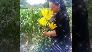 Патимат Кураева