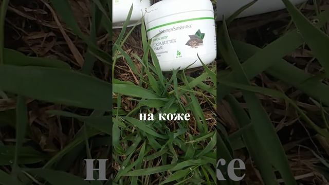 Какао крем / NSP / shorts смотреть онлайн