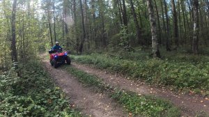 На встречу