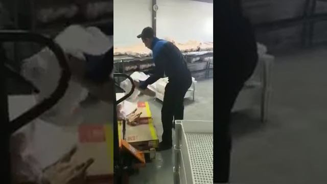 Ящики штабелируемые для хранения замороженного мяса смотреть онлайн