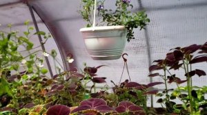 10 января 2025 года