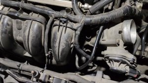 Плавающие обороты на ХХ Ford Focus 2 (2.0)