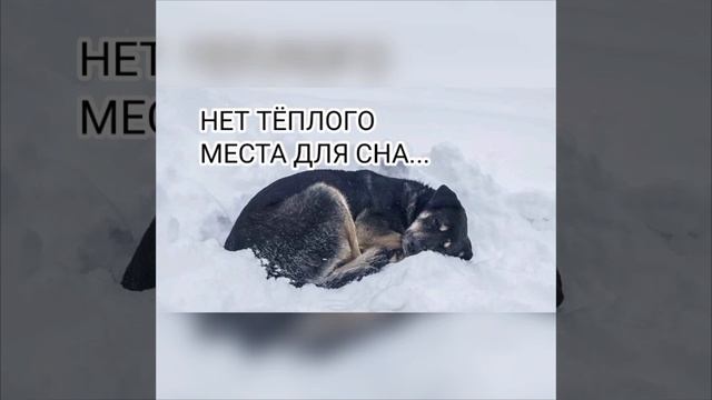 Помогать легко