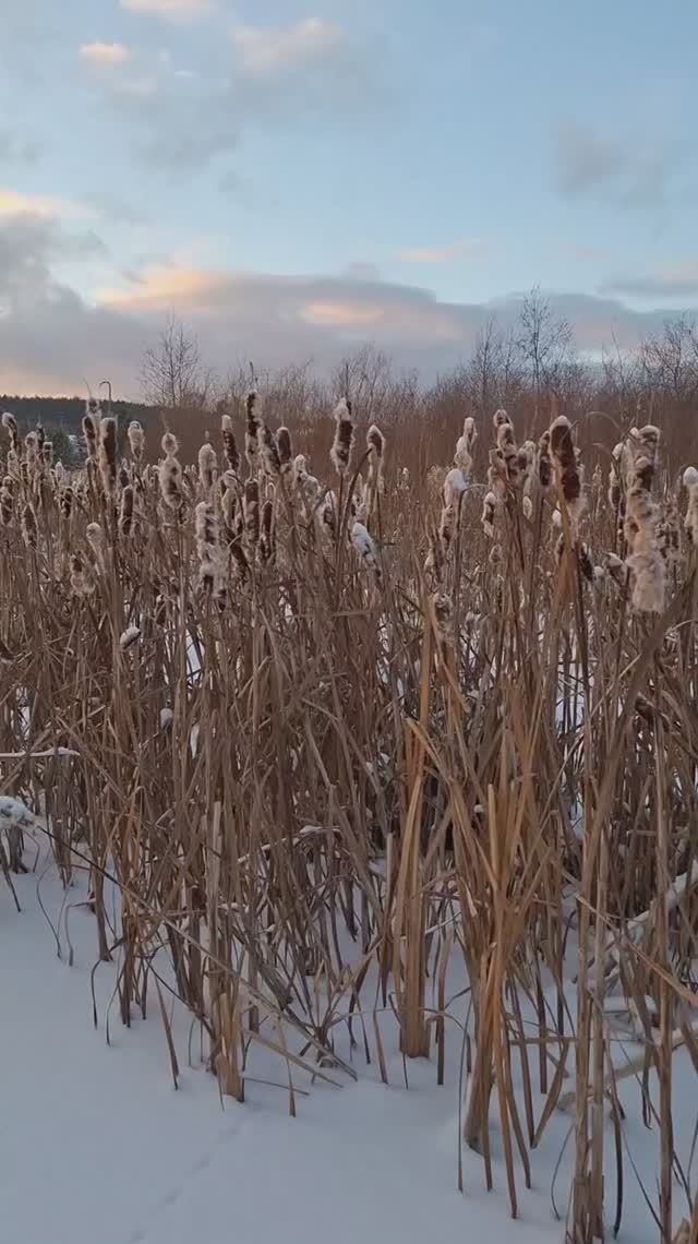 Закат на Брусянке #вдолинерекибрусянка