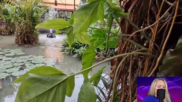 Приехав проститься с бывшей невестой, Игорь оцепенел, увидев. Такого сюрприза он не ожидал... смотреть онлайн