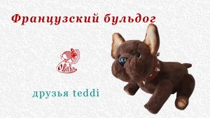 • Тедди  • Французский бульдог •