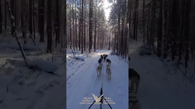 Вилла Байкал Престиж- место вашего незабываемого и роскошного отдыха на Байкале.