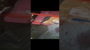 иду с Леной домой