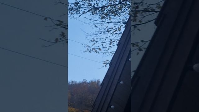1000069121.mp4