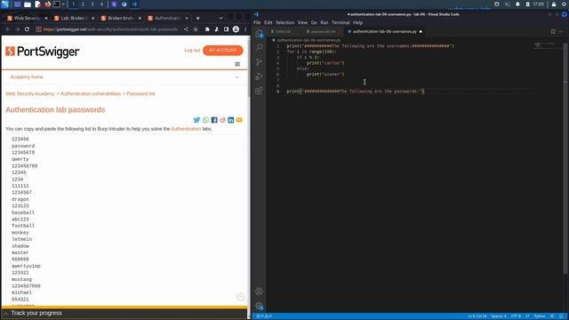07. Lab 6 - Broken brute-force protection, IP block