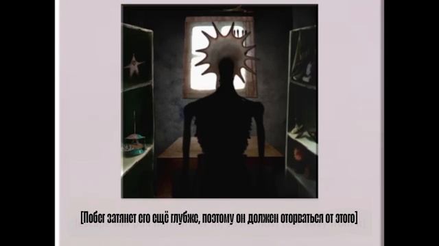 Куда_Идёт_Жизнь