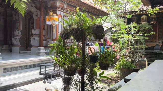 Ubud’da Sokak Sokak Geziyoruz | Bali'de Yaşam