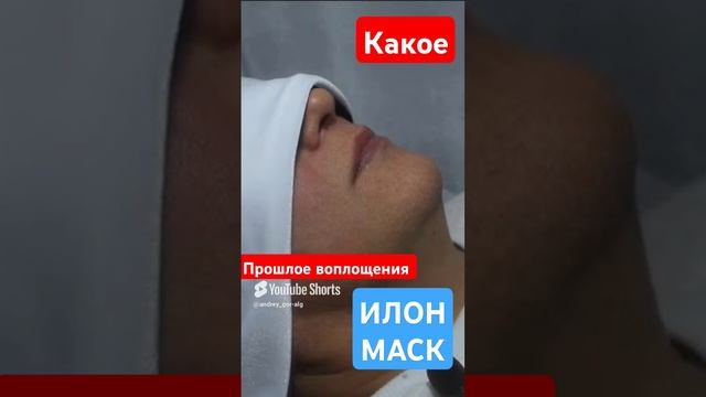 Какой прошлое воплощение у Илона Маска _