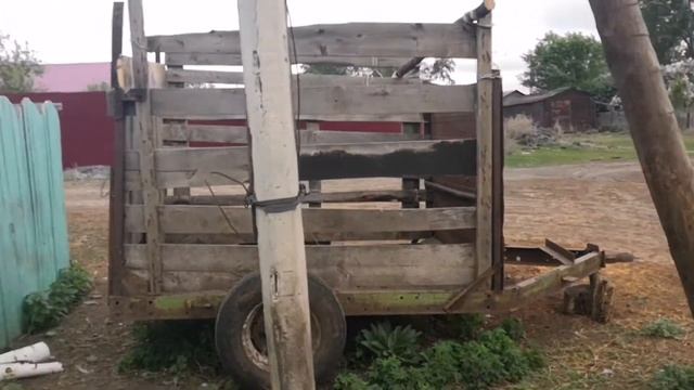 Прохладное утро, 12 градусов. Ветрище. смотреть онлайн