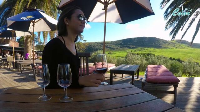 2分半看紐西蘭激流島，來趟美酒美景微醺之旅吧！〖Live & Color Vlog〗 смотреть онлайн