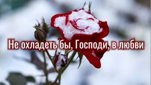 Не охладеть бы, Господи, в любви | христианская песня | Надежда Кудрина