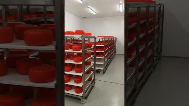 Перфорированные полки для сыра в Совхозе им. Ленина смотреть онлайн