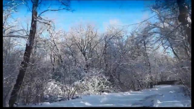 Зимняя сказка  Видео Виктора Поживина