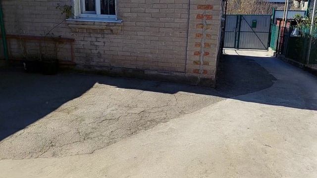 31 марта в Украине очень жарко! Животные Поддержат нас в любых ситуациях... смотреть онлайн