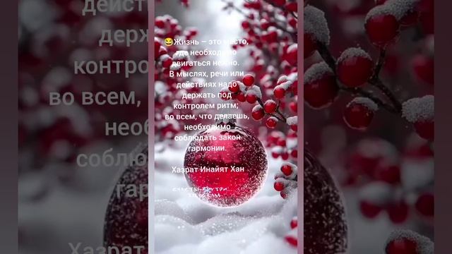 С 2025 годом!!!
Здоровья,мира и добра, и ещё человеческого отношение к друг другу.
Елена Митрофанова