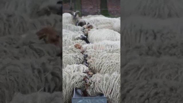 1888 1004967 mp3 смотреть онлайн