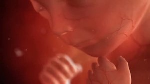 Зарождение жизни