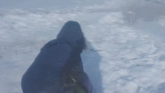 Фейлы от Лёхи !!!!! смотреть онлайн