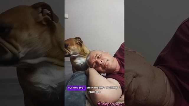 Собачий Спасалон