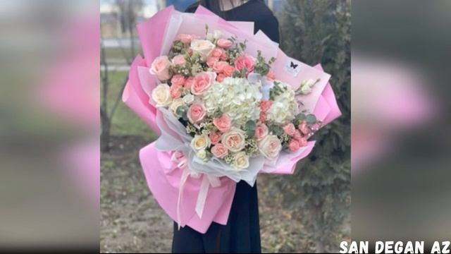 Чеченская Красивая Песня Хаза Хеташ Хьоьжу Хьоьга 2021 смотреть онлайн