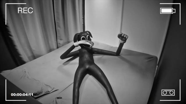 КАРТУН ДОГ у меня дома