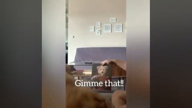 Lukapet.com - Personalized pet portrait for your furry friends смотреть онлайн