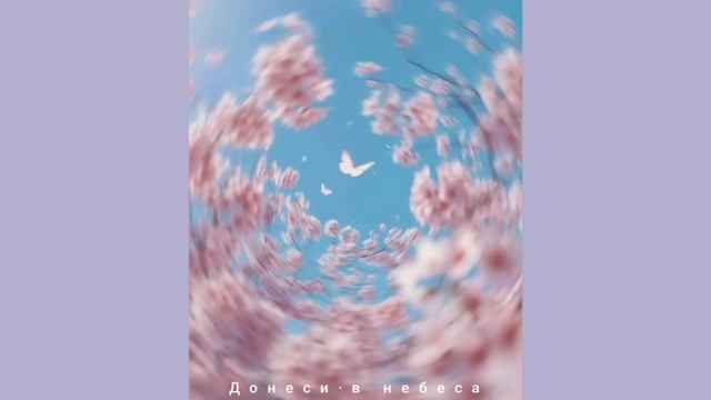 Мария Зарипова -Донеси в небеса