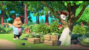 Барбоскины Team