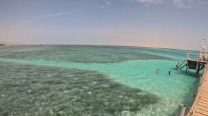 ВЫВОДЫ 🇪🇬 REGENCY PLAZA  5^/  ОТЕЛЬ БЕЗ МОРЯ ИЛИ НОРМ⁉️