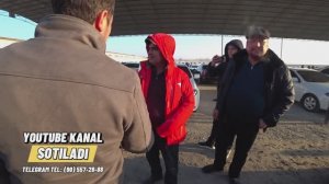 Xorazm mashina bozori 12.01.2025