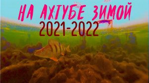 На НГ 21-22 Ахтуба. Подледная рыбалка по ерикам и затонам.