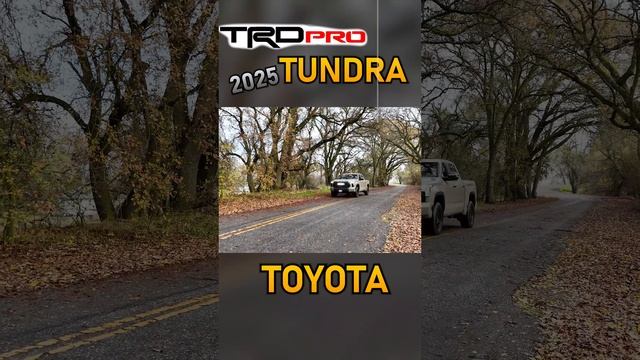 Toyota Tundra TRD Pro 11