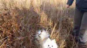 Поездка на грузовичке на речку 02.10.21.