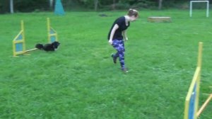 31 5 2017 Lexus Diesel