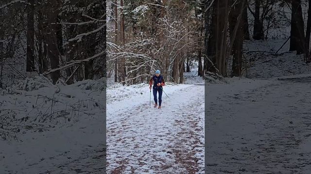 Как тренироваться? #лыжи #лыжероллеры #лыжероллеры смотреть онлайн