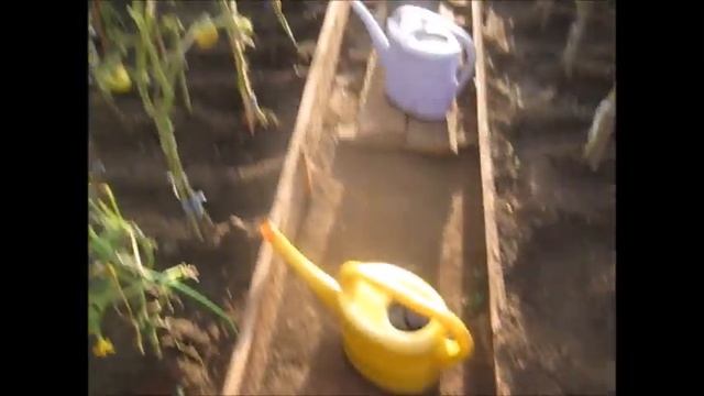 Домашние дела/Вяленые томаты. Маринованные томаты и ассорти/Прогулка по осеннему саду. #vlog #vidéo смотреть онлайн