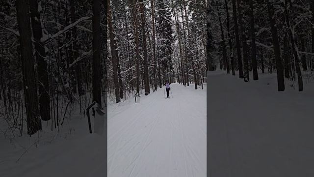 Хотели научиться на лыжах? пора! #коньковыйход #лыжи #техникалыжи смотреть онлайн