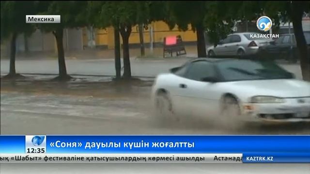 Мексикада «Соня» тропикалық дауылы екпінін бәсеңдетті смотреть онлайн