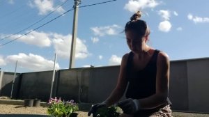 ВЛОГ: Осталась на хозяйстве / Срочно нужно спасать / Стул Павлин от Кузи