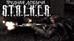 S.T.A.L.K.E.R: "ТРУДНАЯ ДОБЫЧА" - 1 сезон 11 серия.