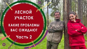 Лесной участок. Какие проблемы вас ожидают. Часть 2