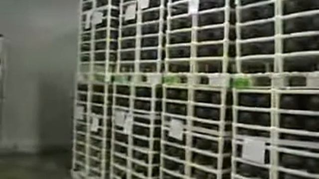 154151 1318960132 смотреть онлайн