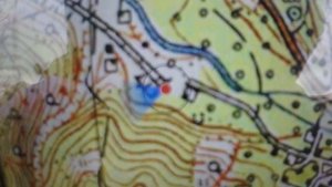 Приключения в Шелковичном