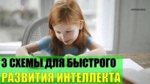 3 схемы для развития интеллекта